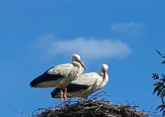 农家乐 Zulawska Nowy Dwór Gdański