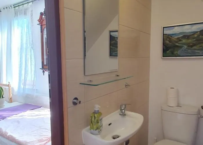 Zulawska * Nowy Dwór Gdański