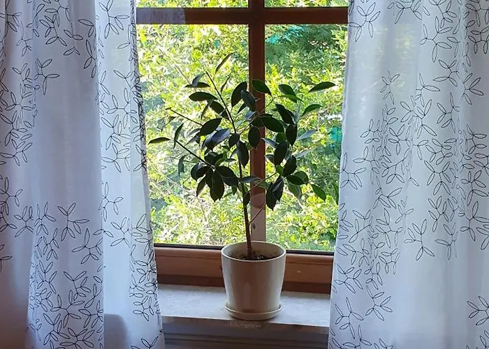 农家乐 Zulawska *