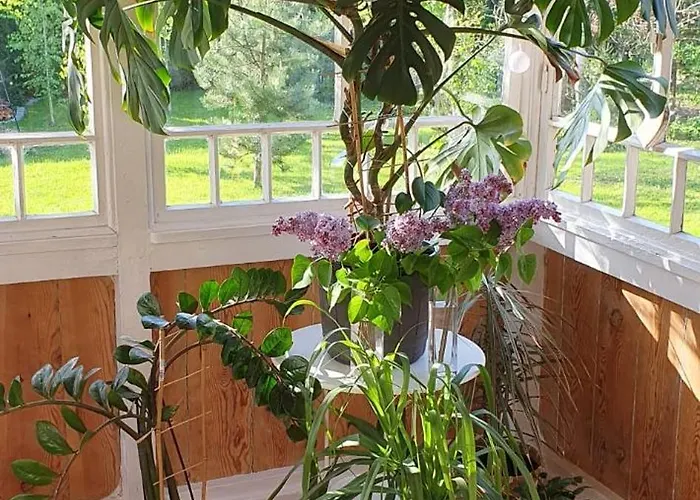 Zulawska Nowy Dwór Gdański